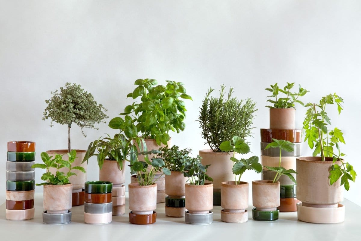 Hoff' underskåle, glaseret, 14 cm (uden potte) - Blomsterverden